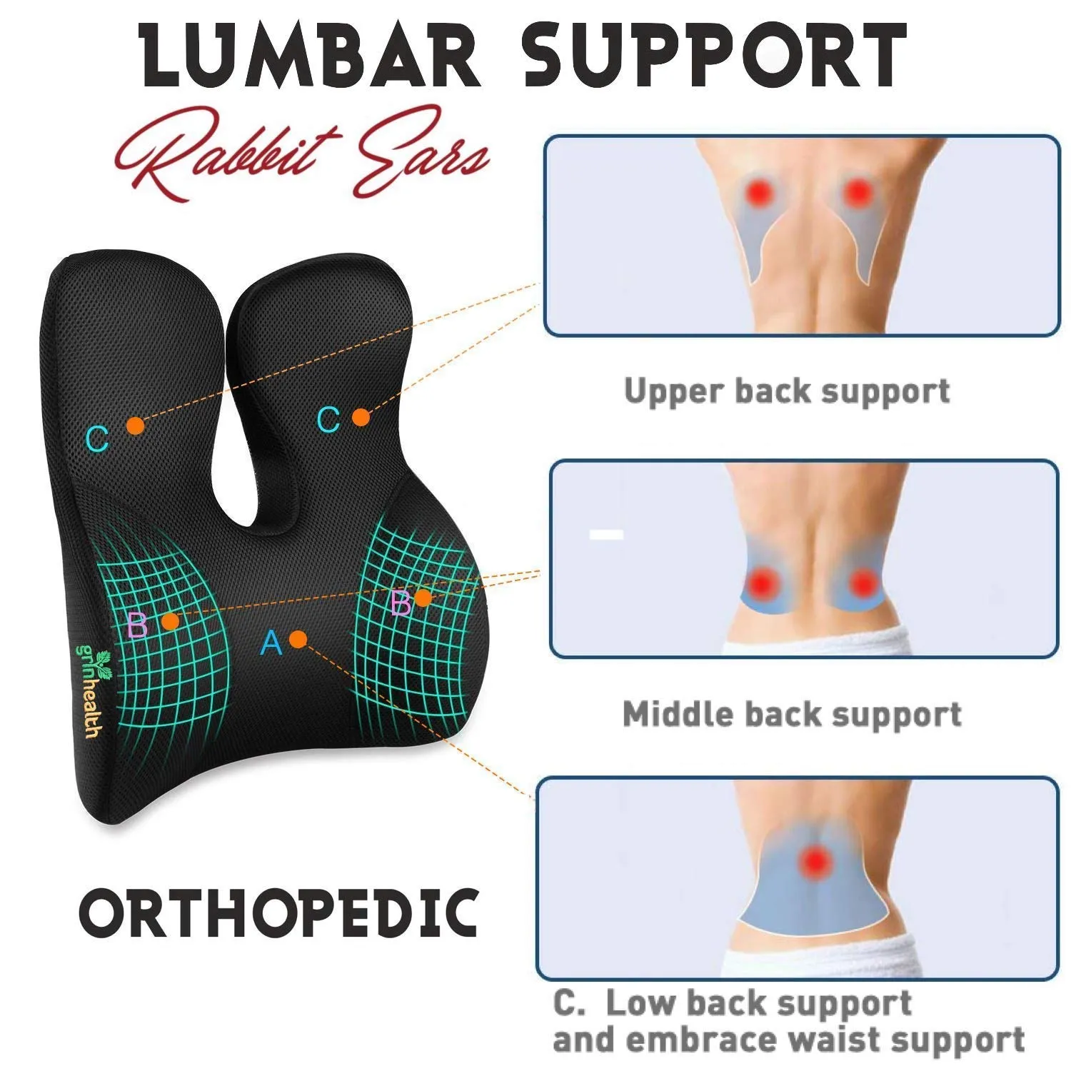 Back & Lumbar Support (Rabbit Ears)