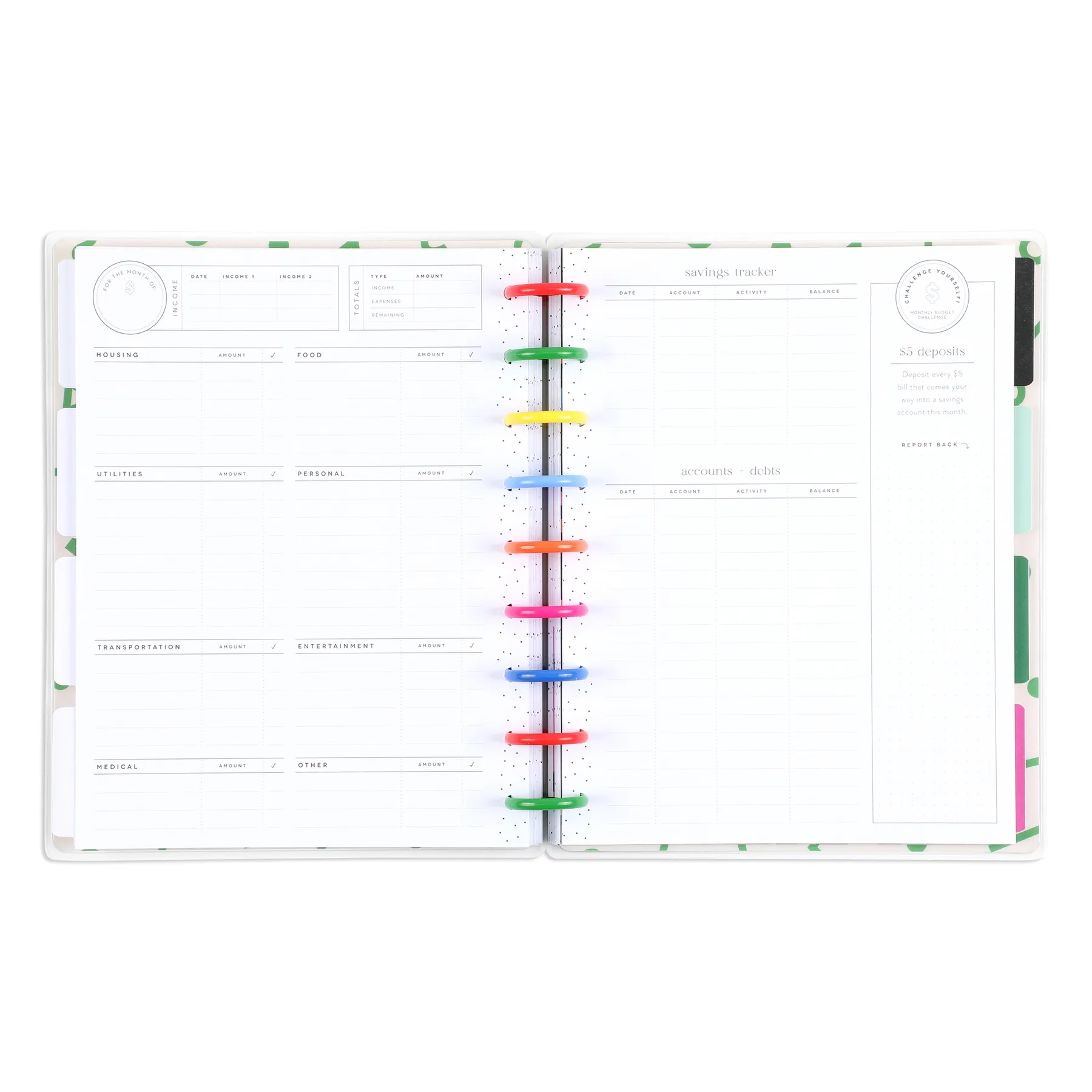 Undated Big Dollar Energy Happy Planner - Classic Budget Layout - 12 Months